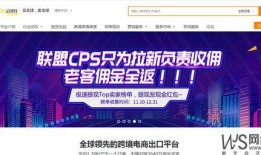 天涯爆料西港新闻网,揭秘西港新闻网背后的真相